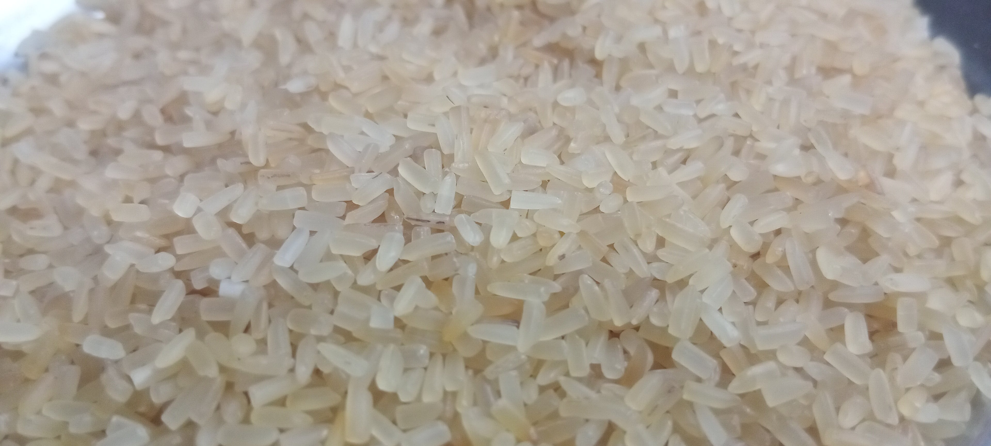 SKYLITE DIAMOND 26KG